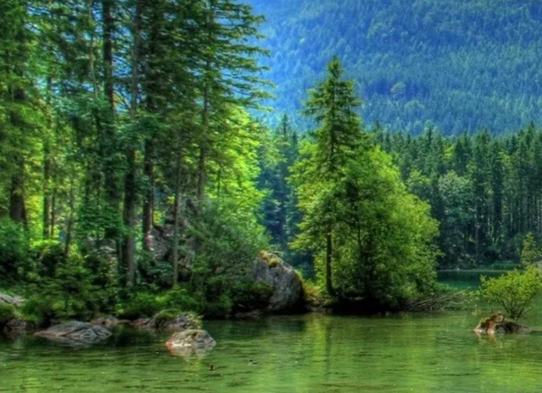 Красота природного камня и зелени растений