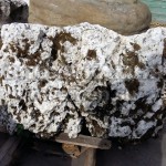 Доломит Дырчатый Белый, фракция 400-2000мм - Эпоха камня